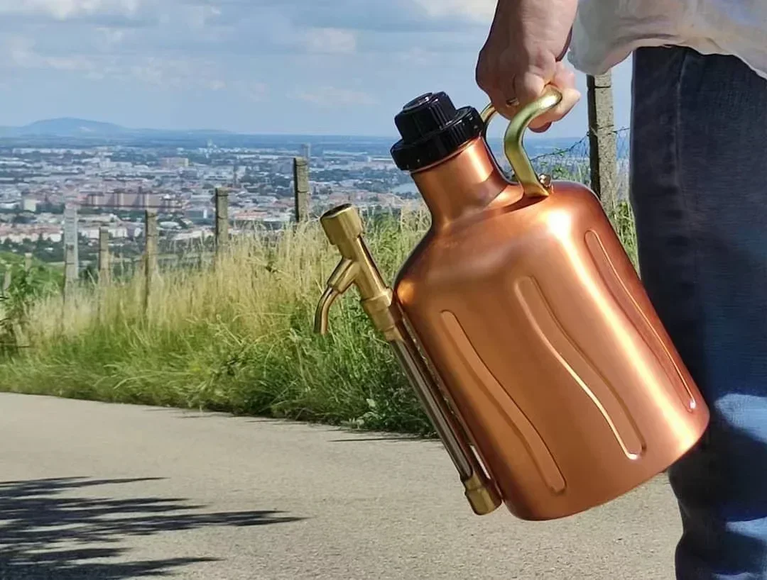 Vendita Rapida: Bottiglia Term - Wine Like Beer recensione e prezzo